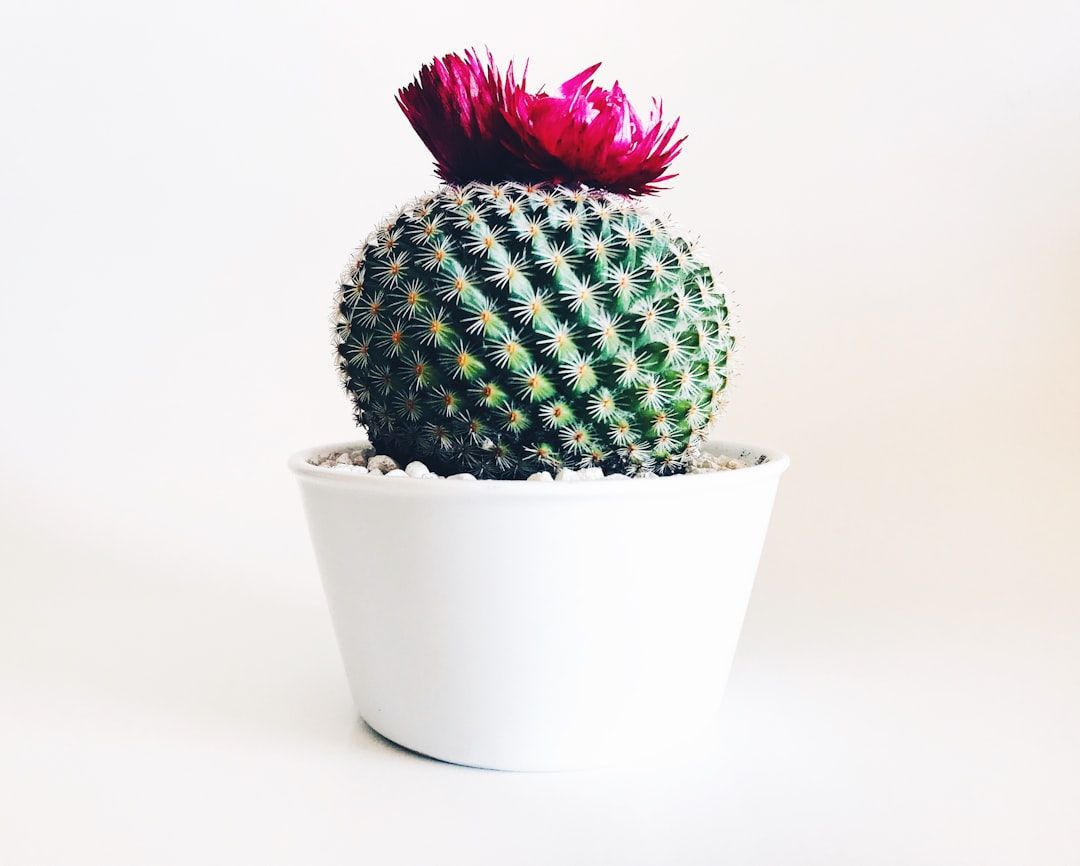 10 Unique Gifts You Can Discover with Giftly